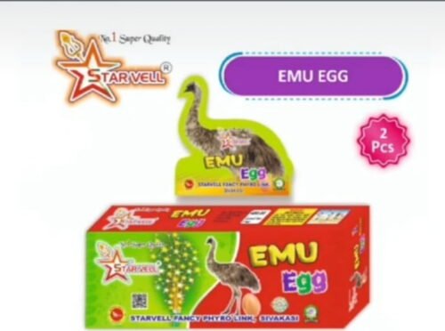 Emu Egg